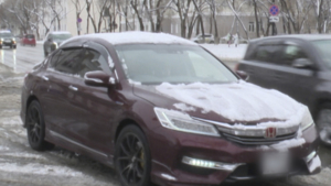 Гололед и мокрый снег: в Приамурье объявили желтый уровень метеорологической опасности - gtrkamur.ru