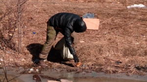 Более 500 тонн мусора собрали амурчане на субботниках в рамках акции «Город берегу» - gtrkamur.ru