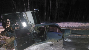 Пьяный водитель грузовика скрылся с места смертельного ДТП в Тындинском округе - gtrkamur.ru