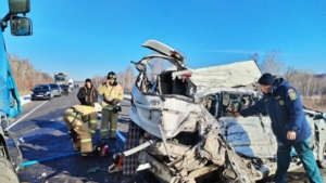 Возбуждено уголовное дело по факту ДТП на «федералке», унесшего жизни четырёх человек - gtrkamur.ru