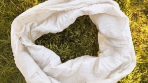 Жителю Приамурья грозит до 10 лет колонии за незаконный урожай - gtrkamur.ru