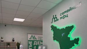 Второй в области: Семейный МФЦ начинает работу в Свободном - gtrkamur.ru