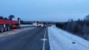 Пешеход погиб под колесами автобуса в Свободненском районе - gtrkamur.ru