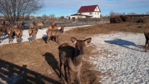 Василий Орлов: «Но важно не только самим открывать для себя такие уголки, но и рассказывать о них другим» - gtrkamur.ru