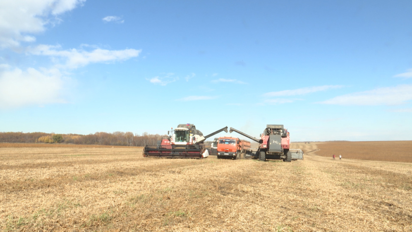Лаборатория, микроскоп и гидропонная установка: в Ивановке открыли три современных агротехнологических класса - gtrkamur.ru