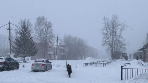 Снегопад и гололед парализовали дороги: что делать водителям и пешеходам - gtrkamur.ru