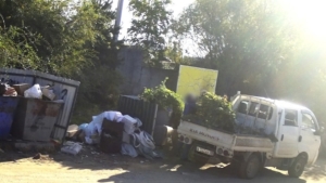 Камеры заметили: благовещенцу  выписали штраф за зелёный мусор - gtrkamur.ru