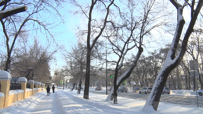 Морозы до -35°С ожидаются в Амурской области - gtrkamur.ru