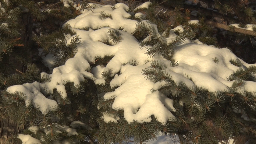 Главная - gtrkamur.ru