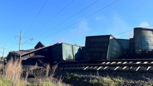 Уголовное дело по сходу 27 вагонов на перегоне Селеткан — Ледяная  передали в суд - gtrkamur.ru