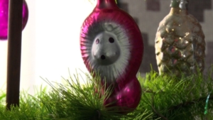 20 ёлочных базаров в Благовещенске: как амурчане наряжают символ Нового года - gtrkamur.ru