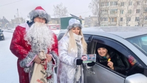 Инспекторы ГАИ вышли на улицы Приамурья вместе с зимними волшебниками - gtrkamur.ru