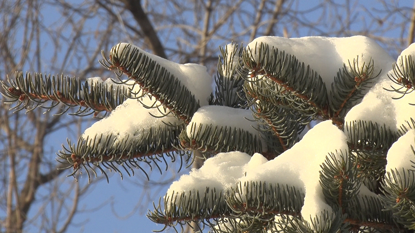 Погодные рекорды 2025 года в Приамурье: жара до +37°C, ураганы и режимы ЧС - gtrkamur.ru