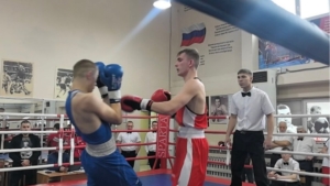 Зрелищные поединки и новые чемпионы: в Благовещенске подвели итоги областного турнира по боксу - gtrkamur.ru