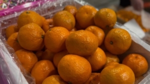 Перед Новым годом в Приамурье резко вырос импорт мандаринов и апельсинов из Китая - gtrkamur.ru