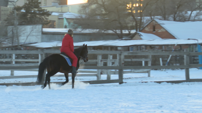 Показательные заезды и праздничная программа: благовещенский ипподром приглашает амурчан в гости - gtrkamur.ru