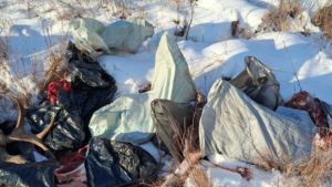 Почти полмиллиона рублей выплатят амурские браконьеры за незаконную охоту на лося и изюбря - gtrkamur.ru