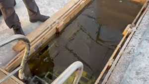 Не просто прорубь: на пляже «Пограничный» в Благовещенске создают целый центр закаливания - gtrkamur.ru