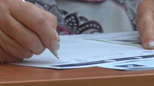 Ко Дню математика: в области прошёл 12-й всероссийский флешмоб «МатКэт» - gtrkamur.ru