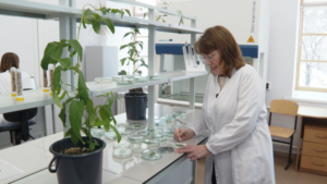 Ученый — это престижно: амурская молодежь начала чаще выбирать исследовательскую деятельность - gtrkamur.ru