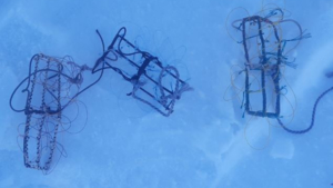 В Белогорском округе пресекли незаконную охоту на соколов - gtrkamur.ru