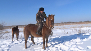 В регионе стартовала подготовка к традиционной переписи лесного населения - gtrkamur.ru
