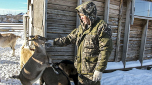 Экоферму для туристов планирует создать амурский ветеран СВО - gtrkamur.ru