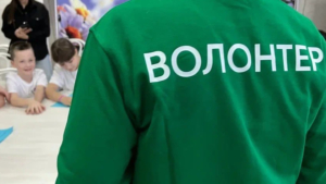 Книги, корм для животных и окопные свечи: итоги года амурского волонтёрства - gtrkamur.ru