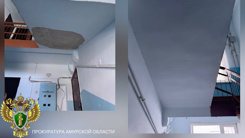 За осыпавшуюся в подъезде штукатурку глава управляющей компании в Приамурье получил штраф - gtrkamur.ru