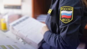 Вырос сын — не исчез долг: амурские приставы заставили отца выплатить 500 тысяч алиментов - gtrkamur.ru