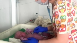 Частные клиники Амурской области подключают к единой системе учёта беременных - gtrkamur.ru