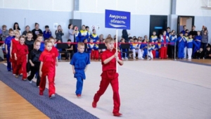 Зимние спортивные выходные в Амурской области: хоккей, биатлон и не только - gtrkamur.ru