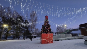 Кто портит предновогоднюю радость: в Серышеве неизвестные побили игрушки на елке - gtrkamur.ru