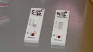 Амурчане сдали экспресс-тесты на ВИЧ в поликлиниках к Международному дню борьбы со СПИДом - gtrkamur.ru