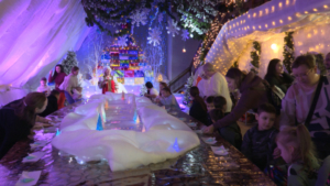 Праздничная программа и игры на улице: загородная Резиденция Деда Мороза открыла свои двери для амурчан - gtrkamur.ru