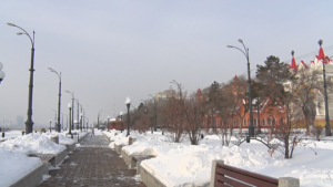 Снег и туман: прогноз погоды на 16 января в Приамурье - gtrkamur.ru