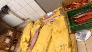 Россельхознадзор конфисковал свыше тонны рыбы без документов в Приамурье - gtrkamur.ru