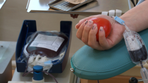 Подарить шанс на жизнь. Амурчане могут вступить в Федеральный регистр доноров костного мозга - gtrkamur.ru