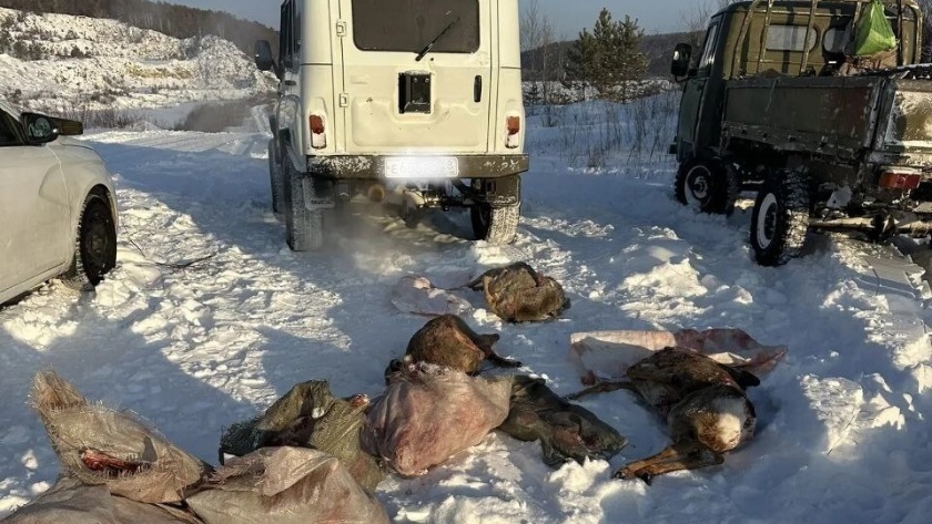 Отца и сына из Чагояна поймали с незаконно добытыми косулями - gtrkamur.ru