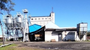 500 тысяч рублей за нарушения в разведении сельхозптицы заплатит амурское предприятие - gtrkamur.ru