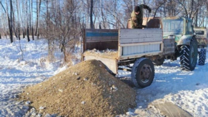 Что едят в «столовых» заказников Приамурья: специалисты раскрыли меню и аппетиты обителей - gtrkamur.ru