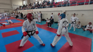 80 комплектов наград разыграли на областном турнире по тхэквондо, посвящённом Герою России Артёму Омельяненко - gtrkamur.ru