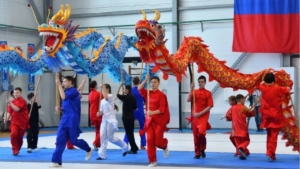 Амурская федерация ушу отметит 20-летие масштабными соревнованиями - gtrkamur.ru