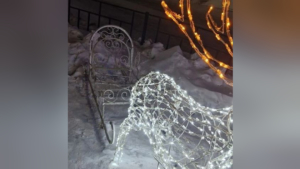 Вандалы испортили новогодние украшения на городской площади Зеи - gtrkamur.ru