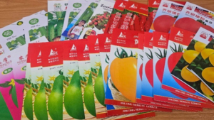 Семена цветов и овощей без сертификатов не попали в Приамурье из Китая - gtrkamur.ru