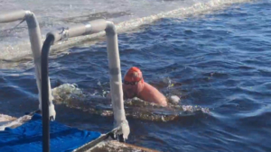 Спортсмены с Дальнего Востока представят Россию на международном заплыве в Антарктиде - gtrkamur.ru