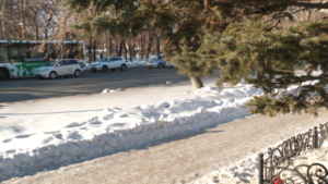 До -6°С потеплеет в Приамурье 11 февраля - gtrkamur.ru