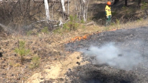 В регионе началась подготовка к пожароопасному периоду - gtrkamur.ru