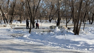 Парк у Амура: шезлонги, динозавр и кино под звёздами - gtrkamur.ru