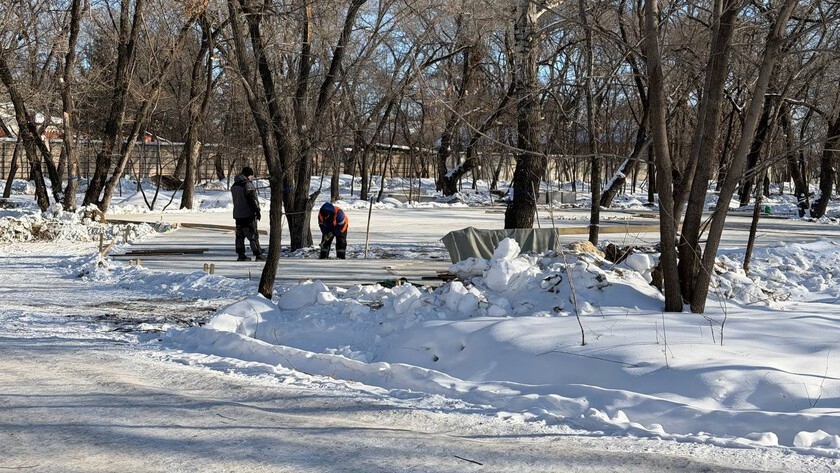 Парк у Амура: шезлонги, динозавр и кино под звёздами - gtrkamur.ru